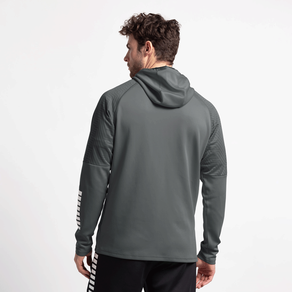 Derbystar Kapuzenjacke PRIMO v24 grau